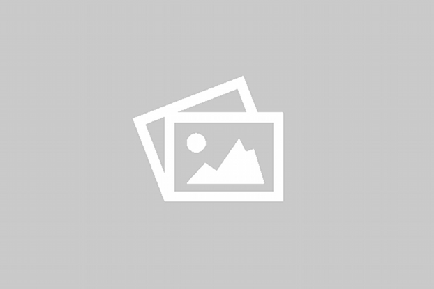 ภาพประกอบการตรวจสอบ